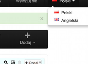 Wielojęzyczne strony internetowe