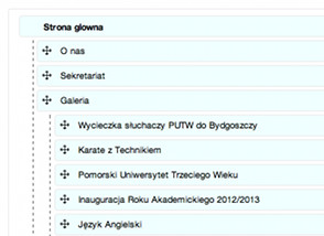Nie ograniczona liczba podstron